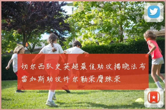 切尔西队史英超最佳助攻揭晓法布雷加斯助攻许尔勒荣膺殊荣