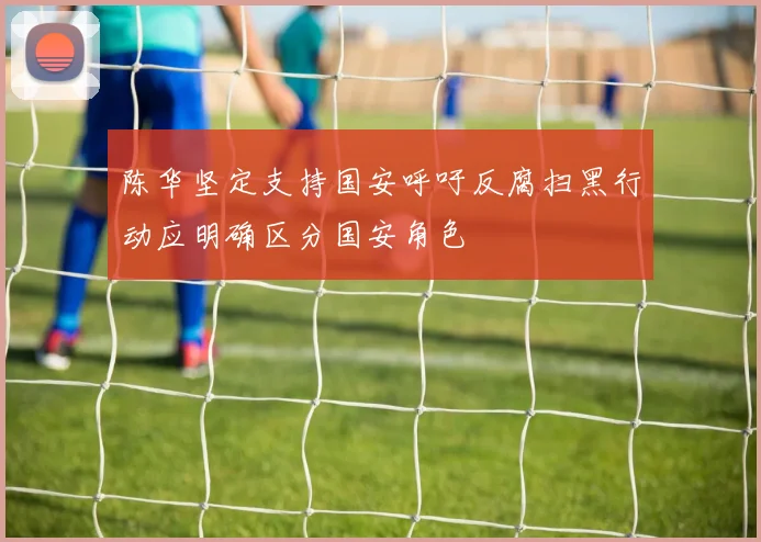 陈华坚定支持国安呼吁反腐扫黑行动应明确区分国安角色